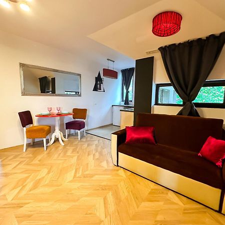 The Vintage - Wonderful Apartment In Best Location Craiova Exteriör bild