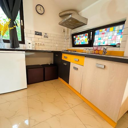 The Vintage - Wonderful Apartment In Best Location Craiova Exteriör bild