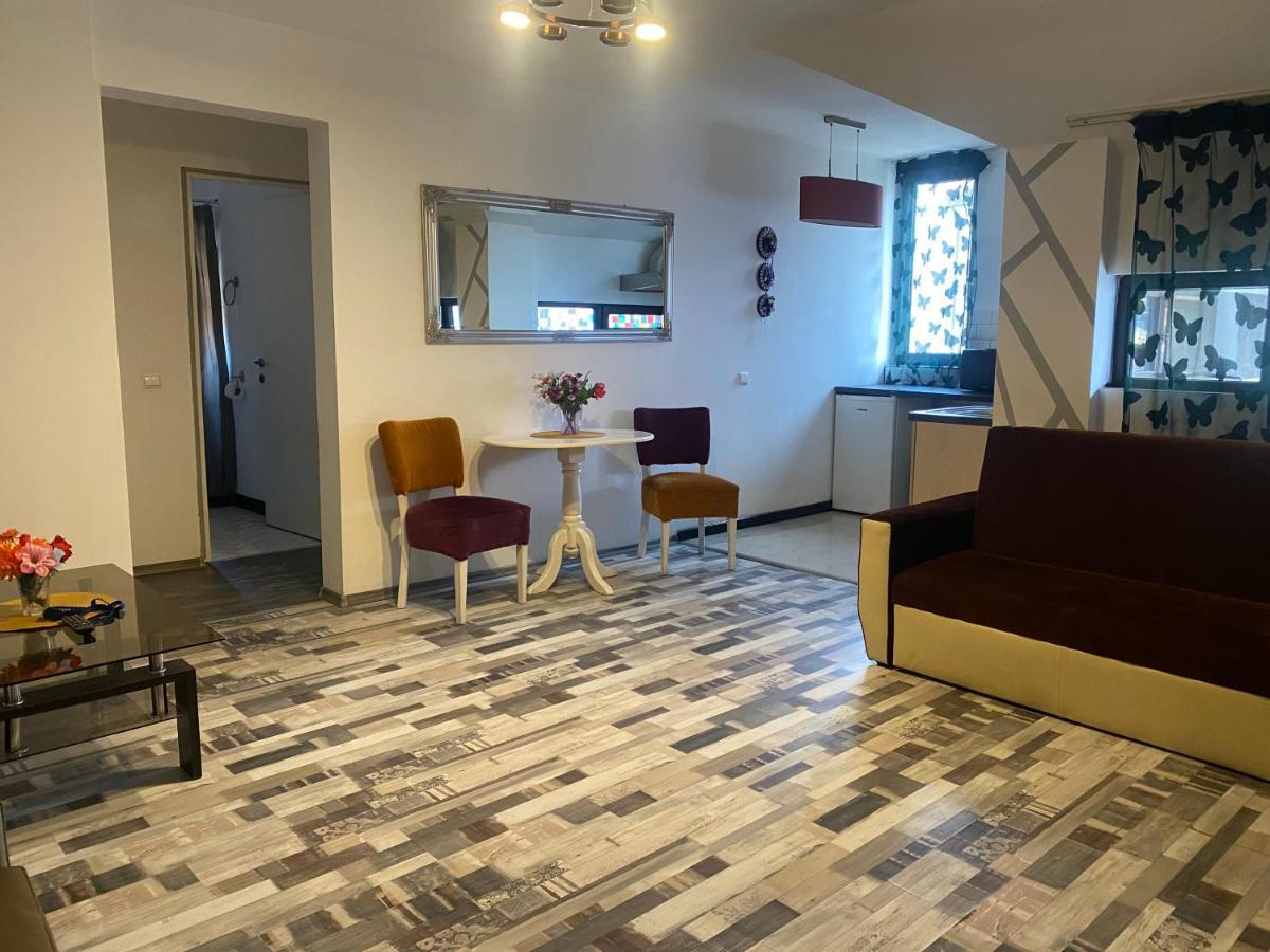 The Vintage - Wonderful Apartment In Best Location Craiova Exteriör bild