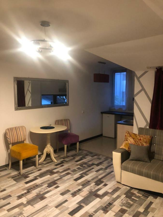 The Vintage - Wonderful Apartment In Best Location Craiova Exteriör bild